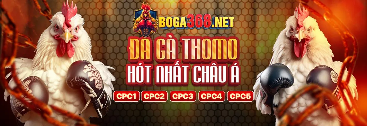 Hình ảnh chính sòng bạc trực tuyến vz88 casino với các trò chơi hấp dẫn